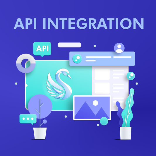 API Integration